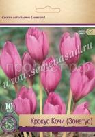 Крокус Зонатус