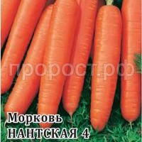 Морковь Нантская 4 100г