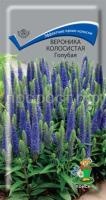 Вероника колосистая Голубая Вероника колосистая Голубая