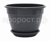 Антик (2) Антик (2)