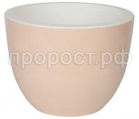 орион пудра орион пудра