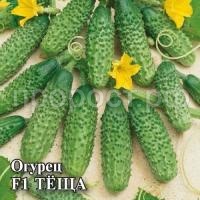 Огурец Теща F1 100 шт