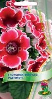 Глоксиния Импресс Ред Пикоти