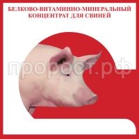 З58018 З58018