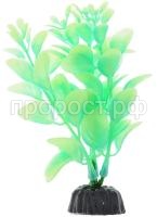 1015473304 1015473304