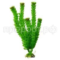 cc8f2121158568f2fdc803f92e645eee cc8f2121158568f2fdc803f92e645eee