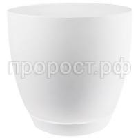 101 белый осн 101 белый осн