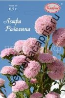 astra-pomponnaya-rozovaya-rozalina-kapris