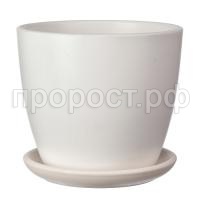 Грэй белый бутон