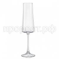 nabor_bokalov_dlya_shampanskogo_crystalex_xtra_cr210104x_6sht_210ml_2261025_1 nabor_bokalov_dlya_shampanskogo_crystalex_xtra_cr210104x_6sht_210ml_2261025_1