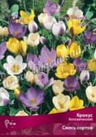 Крокус Смесь Окрасок