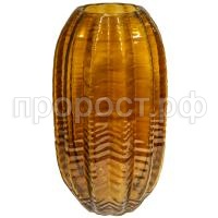 кактус желт бол