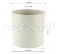 3184-main-3 3184-main-3