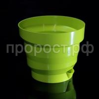 Акцент фисташка Акцент фисташка