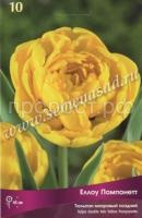 Йеллоу Помпонетт