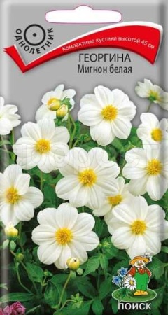 Георгина Мигнон белая 0,2г  Георгина Мигнон белая 0,2г