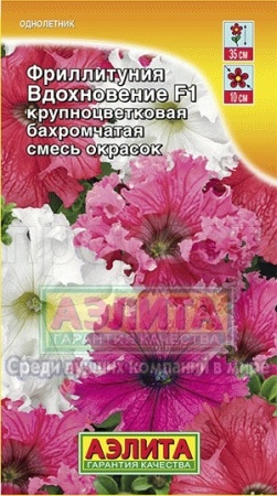 Фриллитуния Вдохновение крупноцветковая смесь 10шт Фриллитуния Вдохновение крупноцветковая смесь 10шт