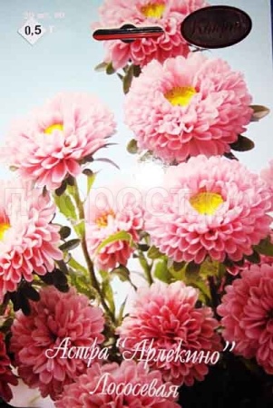 Астра Арлекино Лососевая 20*1 Астра Арлекино Лососевая 20*1