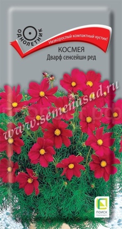 Космея Дварф сенсейшн ред 0,2г Космея Дварф сенсейшн ред 0,2г
