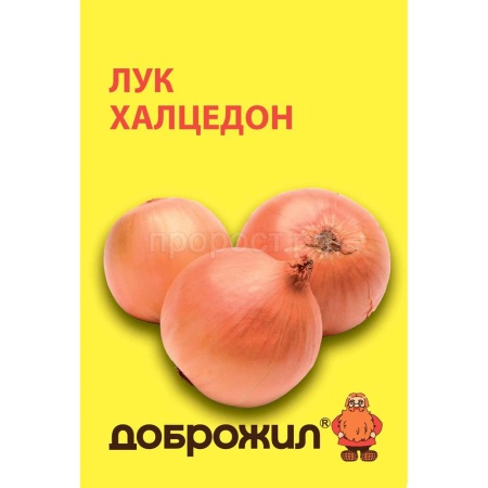 ДОБРОЖИЛ Лук репчатый Халцедон 1г