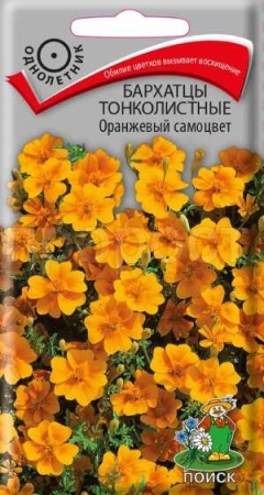 Бархатцы Оранжевый самоцвет 0,1г Бархатцы Оранжевый самоцвет 0,1г