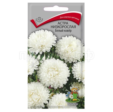 Астра низкорослая Белый ковер 0,2г  Астра низкорослая Белый ковер 0,2г