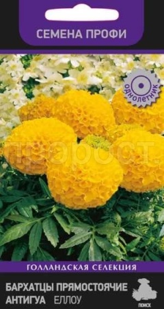 Бархатцы Антигуа Еллоу 15шт  Бархатцы Антигуа Еллоу 15шт