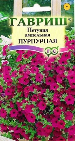 Петуния амп. Пурпурная  гранул. пробирка 7шт Петуния амп. Пурпурная  гранул. пробирка 7шт