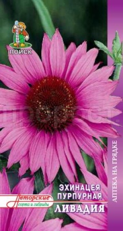 Эхинацея Пурпурная Ливадия 20шт Эхинацея Пурпурная Ливадия 20шт