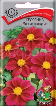 Георгина Мигнон пурпурная 0,2г