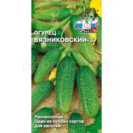 Седек Огурец Вязниковский 37 0,5г 