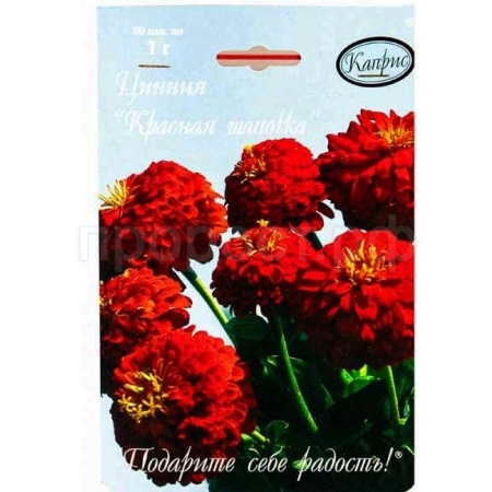 Цинния Красная шапочка 20*1  Цинния Красная шапочка 20*1