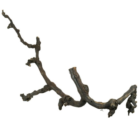 Декор Виноградная коряга для террариума 75-100см Декор Виноградная коряга для террариума 75-100см