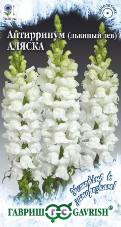 Антирринум (Львиный зев) Аляска 0,05г  Антирринум (Львиный зев) Аляска 0,05г