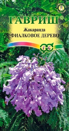 Жакаранда Фиалковое дерево 3шт  Жакаранда Фиалковое дерево 3шт