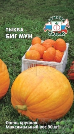 Седек Тыква крупноплодная Биг Мун 2г