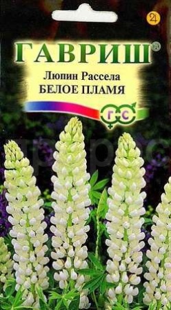 Люпин Рассела Белое пламя 0,5г Люпин Рассела Белое пламя 0,5г