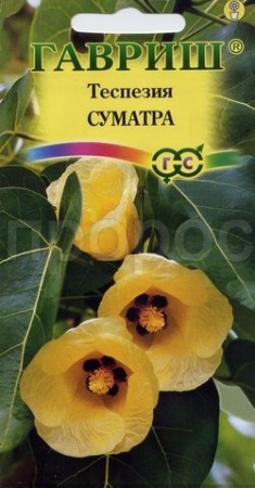 Теспезия Суматра 3 шт.  Теспезия Суматра 3 шт.