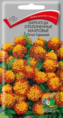 Бархатцы Петит гармония 0,4г Бархатцы Петит гармония 0,4г