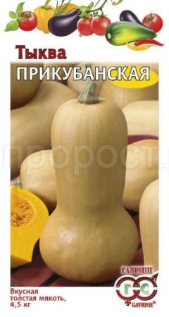 Гавриш Тыква мускатная Прикубанская 1г