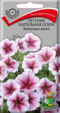 Петуния ампельная Опера Малиновые жилки 5шт Петуния ампельная Опера Малиновые жилки 5шт