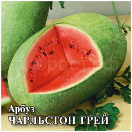Арбуз Чарльстон Грэй 25 г