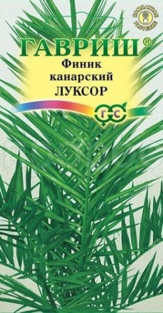 Финик канарский Луксор 2шт Финик канарский Луксор 2шт
