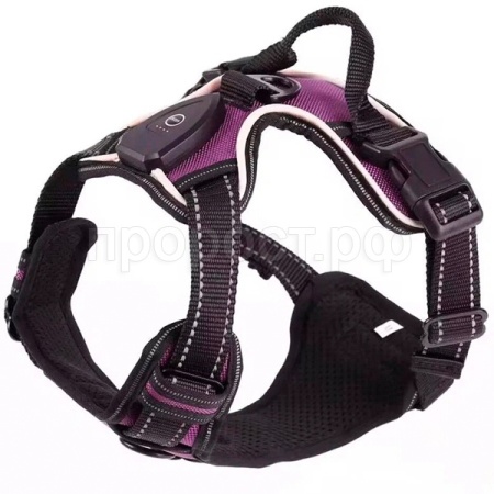 Шлейка с LED подсветкой M ш.35-50 гр.55-70 Ш-32 фиолетовый