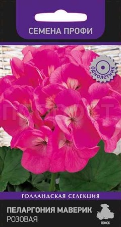Пеларгония Маверик розовая 5шт Пеларгония Маверик розовая 5шт