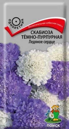 Скабиоза тёмно-пурпурная Ледяное сердце 10шт Скабиоза тёмно-пурпурная Ледяное сердце 10шт