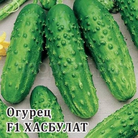 Гавриш Фермерская Огурец Хасбулат F1 100 шт
