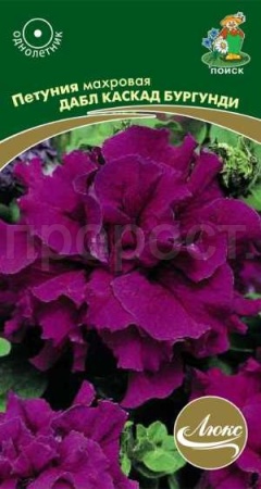 Петуния махровая Дабл каскад бургунди 10шт Петуния махровая Дабл каскад бургунди 10шт