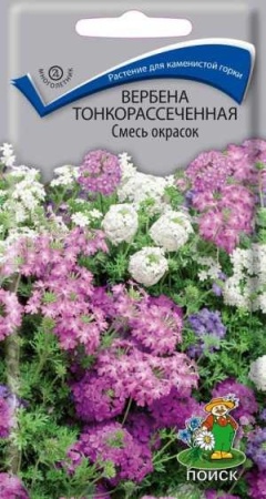 Вербена тонкорассеченная Смесь окрасок 0,02гр Вербена тонкорассеченная Смесь окрасок 0,02гр