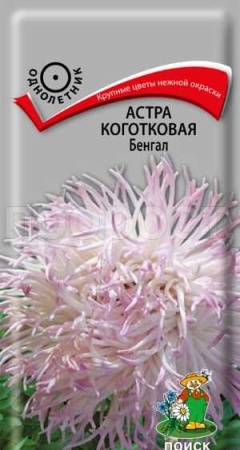 Астра коготковая Бенгал 0,3г  Астра коготковая Бенгал 0,3г
